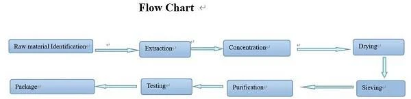 Flow Chat(1)