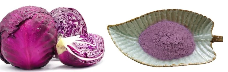 Purple Cabbage Powder