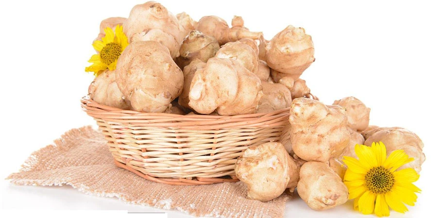 Jerusalem Artichoke Extract Jerusalem Artichoke Extract