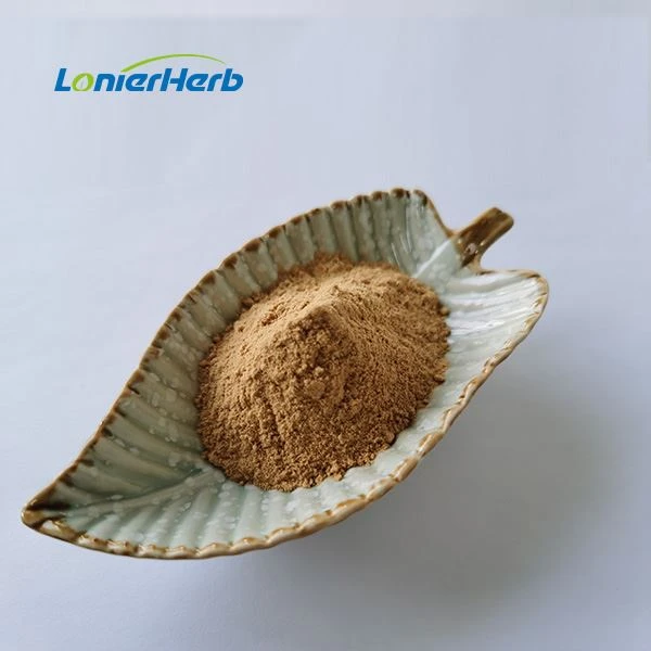 Buckwheat Seed Extract