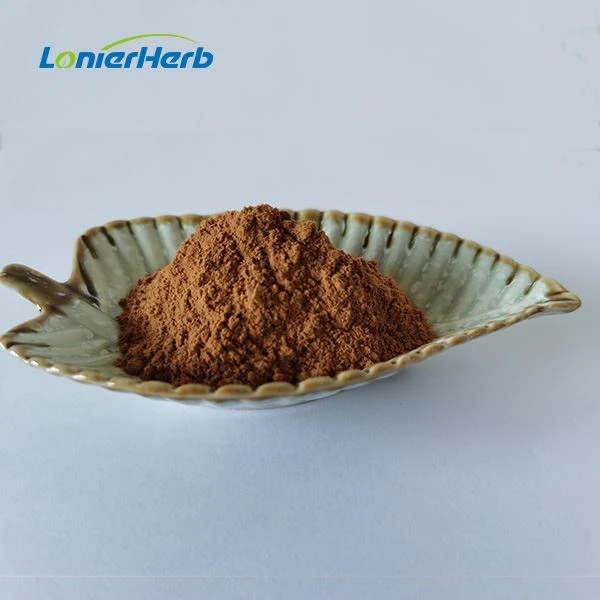 Rosemary Extract Rosmarinic Acid