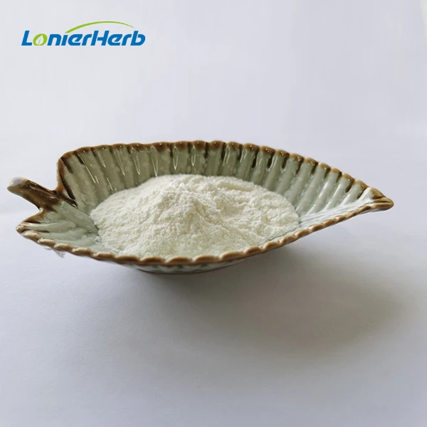 Mastic Gum Extract Powder