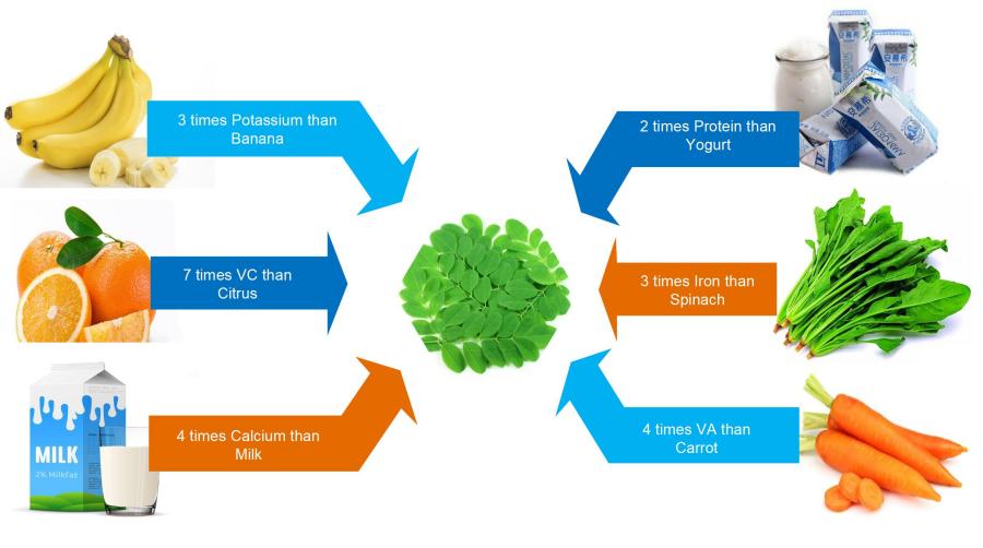 New Batch Moringa Leaf Powder New Batch Moringa Leaf Powder